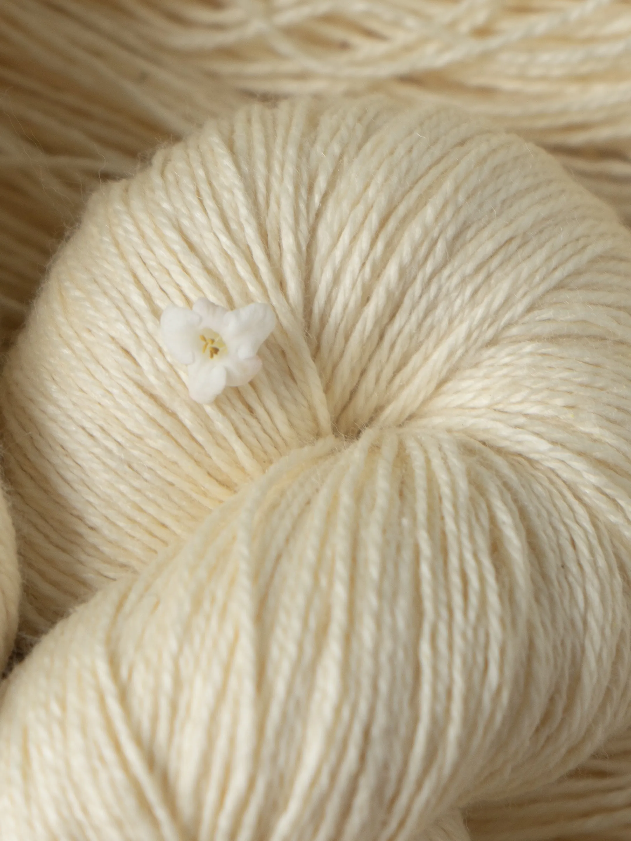 Cupid Fingering <br><small>merino, yak & silk</small>