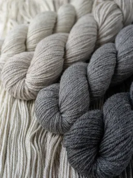 Kent Aran <br><small>merino & romney</small>