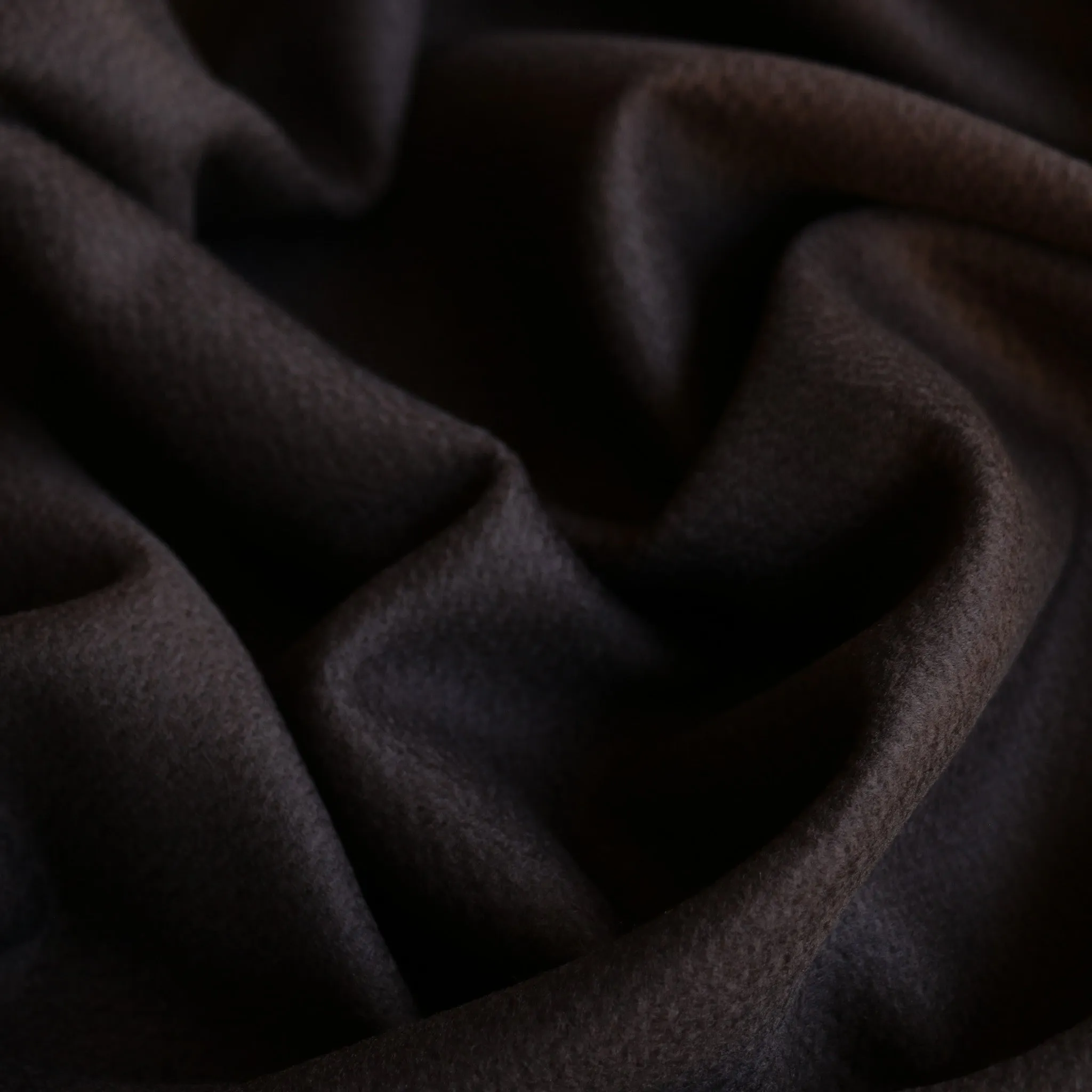 Morella Brown Coating