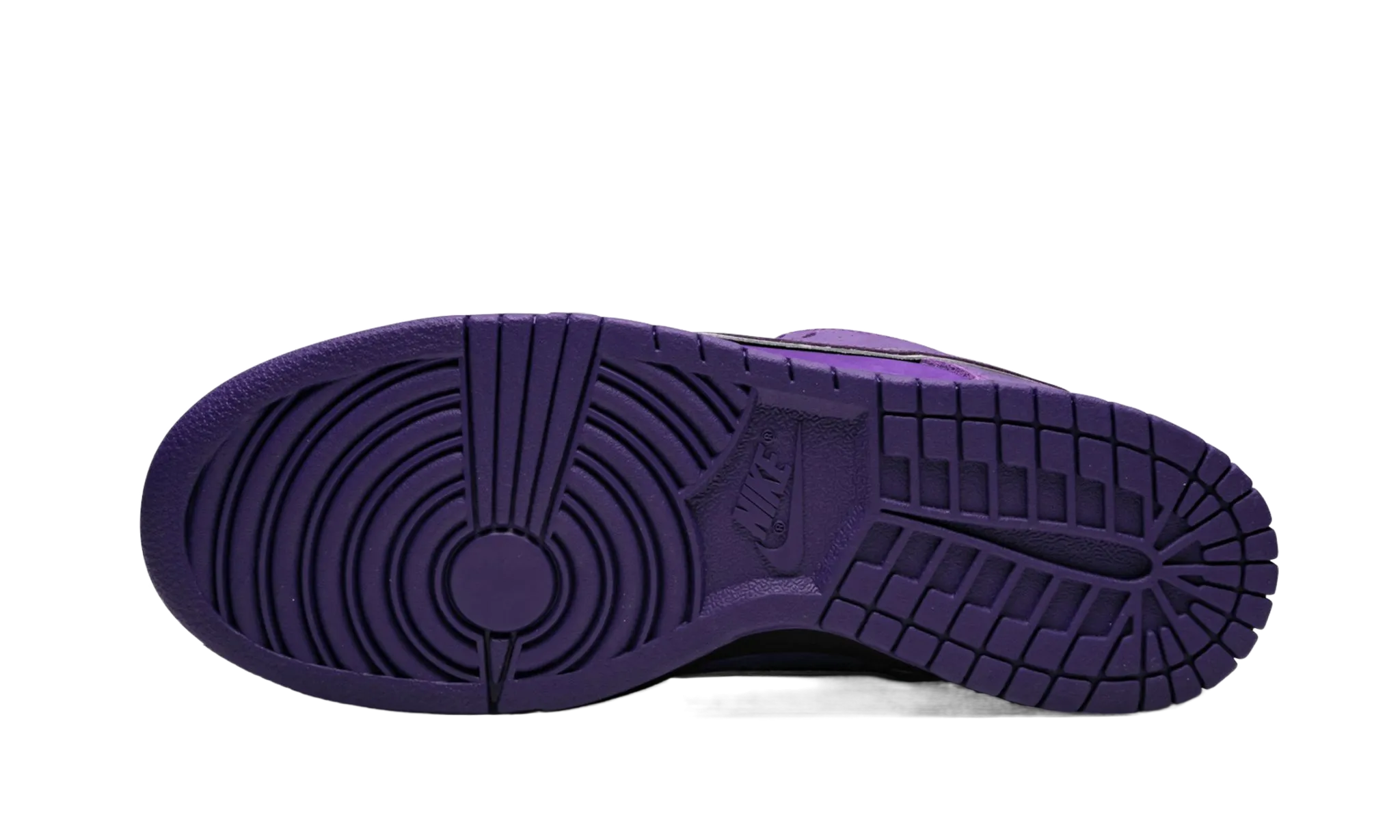 Nike SB Dunk Low "Concepts Purple Lobster"