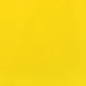 Nylon Schuss - Gold