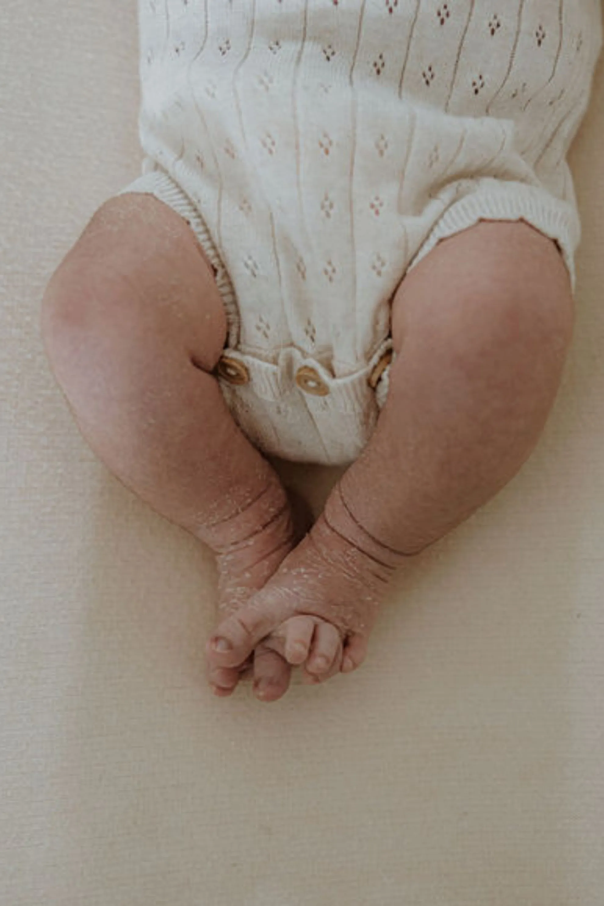 Organic Cotton Pointelle Knit Baby Bodysuit - Oat