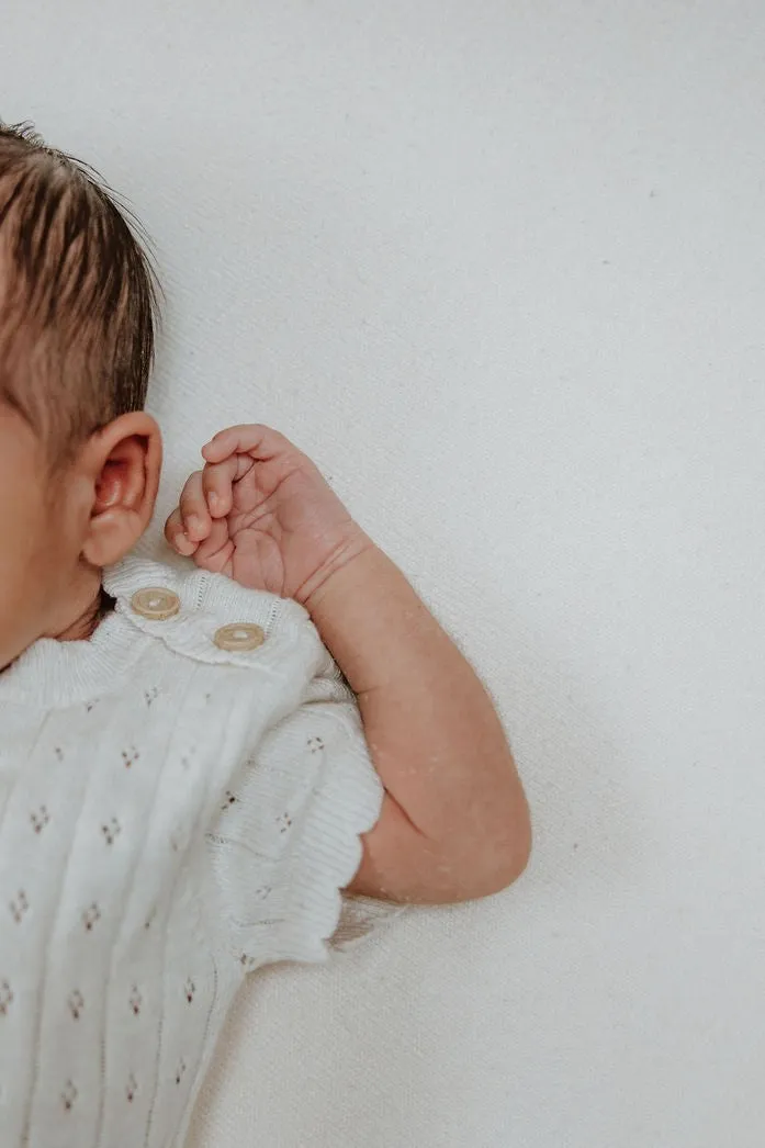 Organic Cotton Pointelle Knit Baby Bodysuit - Oat