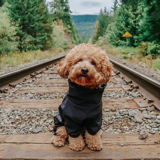 The Slush Suit