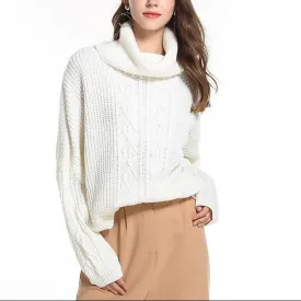 Winding High Neck Collar Knitting Sweaters